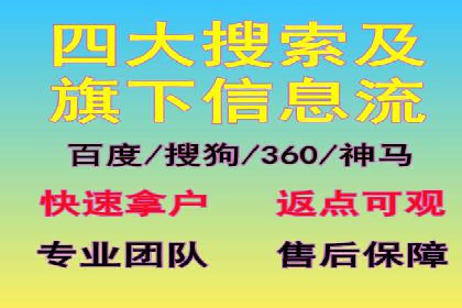 SEM推广技巧：成功案例深度剖析